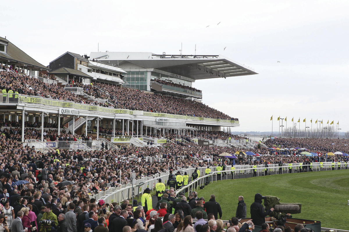 Grand National Free Bets Best Bookmaker Odds & Offers