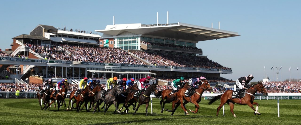 Bet365 grand national places sports handicapping tools