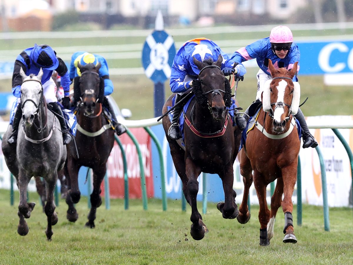 Scottish Grand National 2024 Best Free Bet Offers