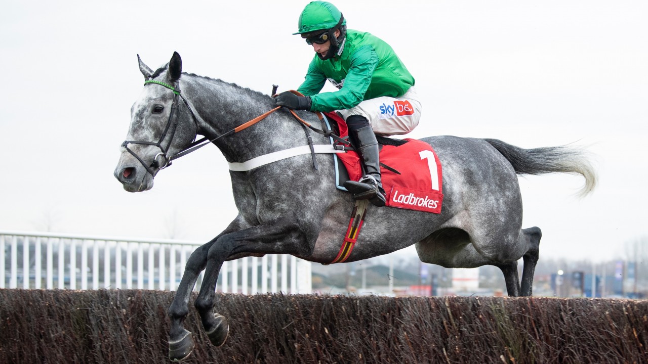 Best Grand National Odds Latest Bookmaker Free Bets